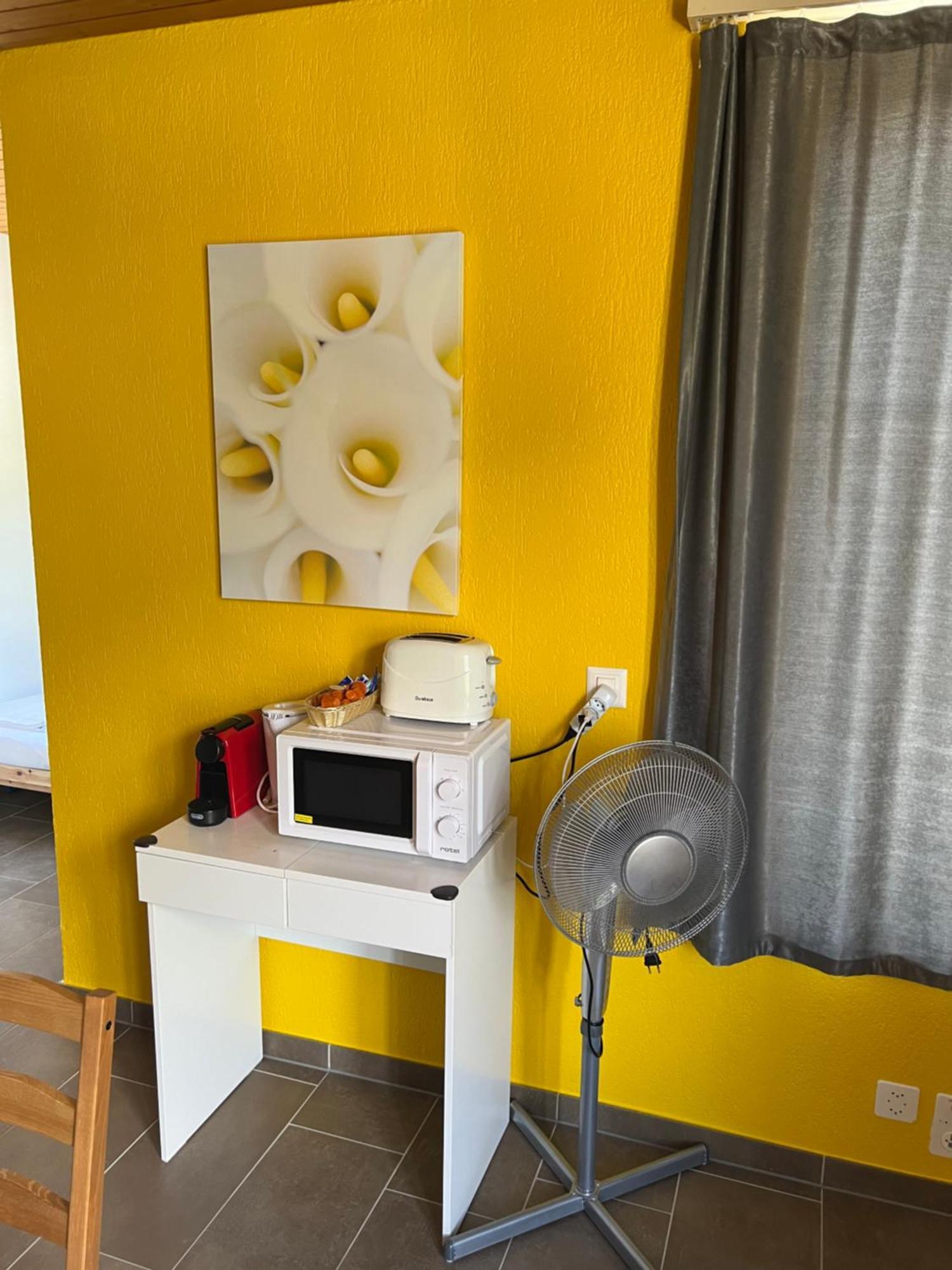 אינטרלאקן Apartament Rosy מראה חיצוני תמונה