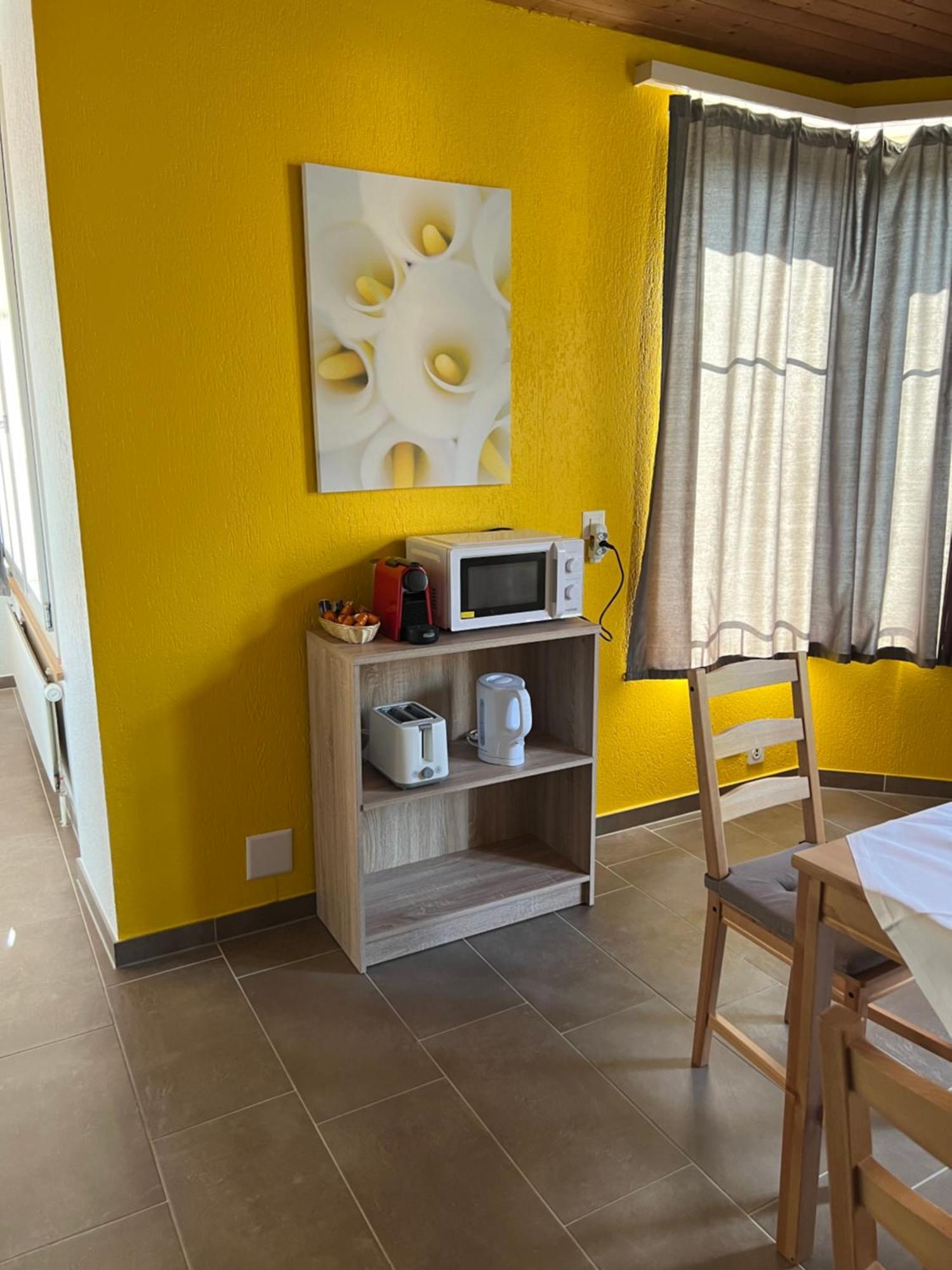 אינטרלאקן Apartament Rosy מראה חיצוני תמונה
