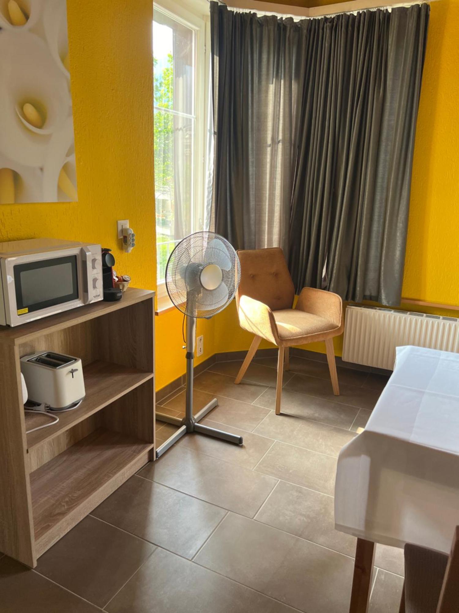 אינטרלאקן Apartament Rosy מראה חיצוני תמונה